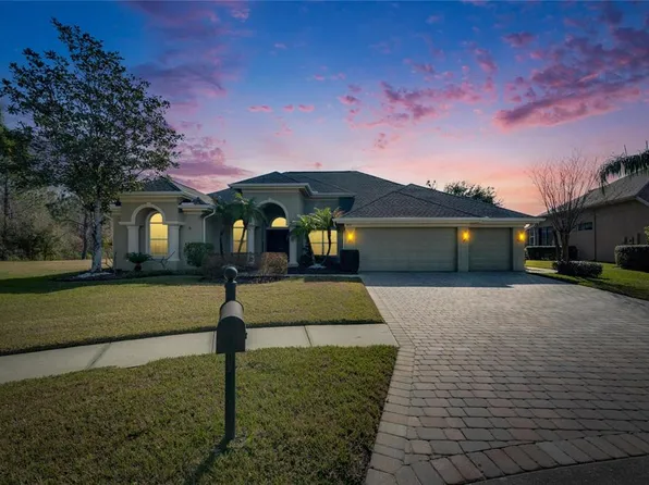 3852 Sorrel Vine Dr, Zephyrhills, FL 33544