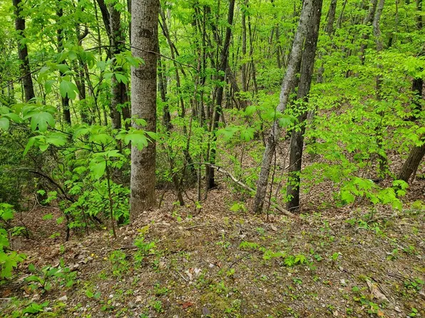 0 N Valley View Rd, Franklin, NC 28734