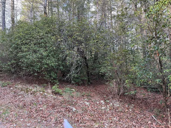 9999 Leamon Dr, Cedar Mountain, NC 28718