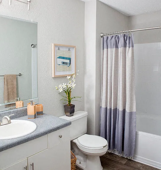 1287 Shoals Apartments — Photo 21