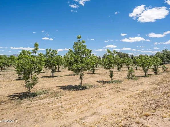 LOT 3 Old River Rd, Las Cruces, NM 88005