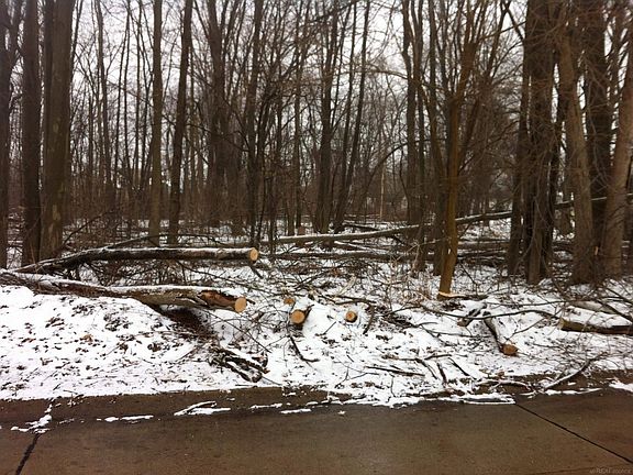 5th image of 0 Waldo Rd