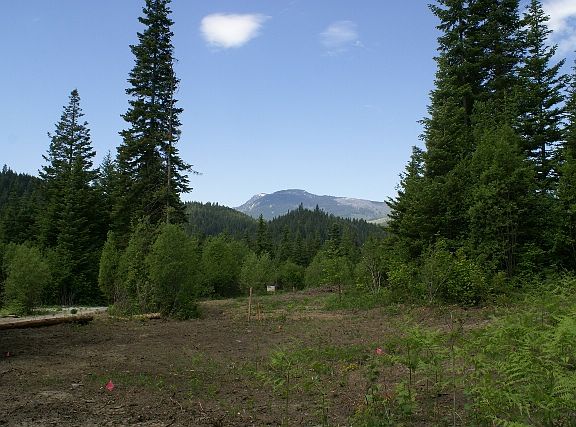 Building Site and Mountain View