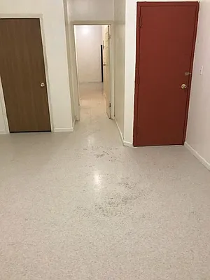 Rented by Fifth & Forever LLC | media 25