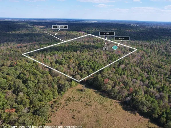 800 Foster Dr, Violet Hill, AR 72584