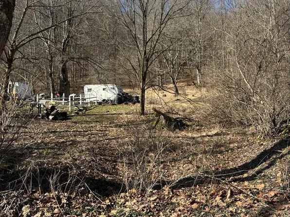 Newlonton Rd, Selbyville, WV 26236