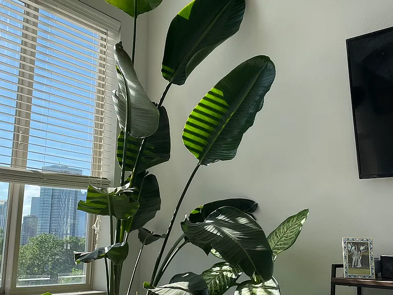 2811 N Vallejo St #301 — Photo 15