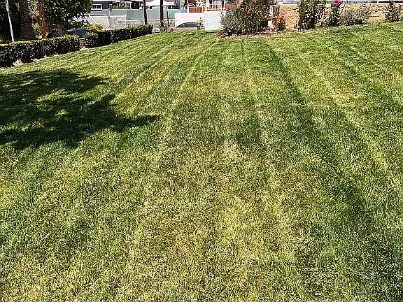 Front Lawn Street View
