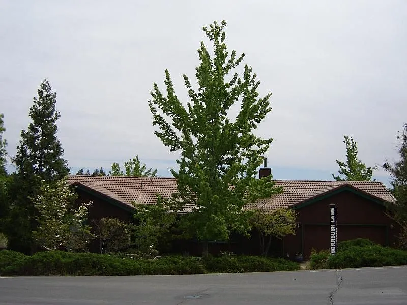479 Sugarbush Ln photo 1