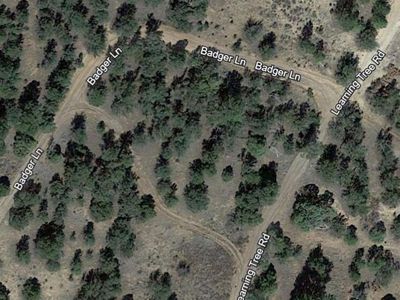 Badger Ln, Pinehill, NM, 87357