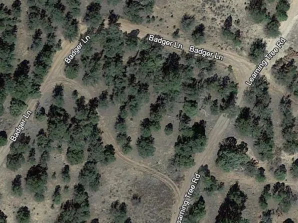 Badger Ln, Pinehill, NM 87357