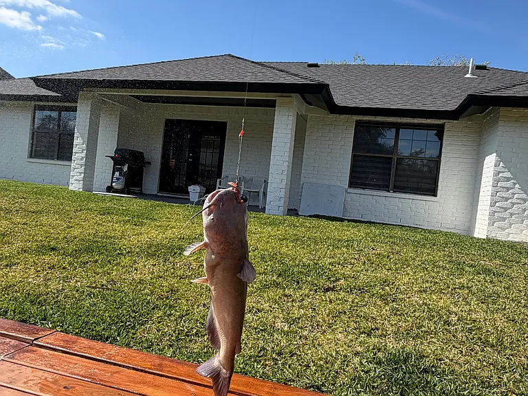 967 Quail Hollow Dr — Photo 10