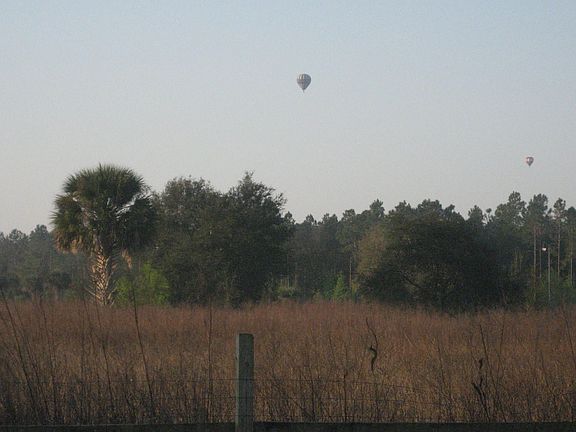 View from back patio