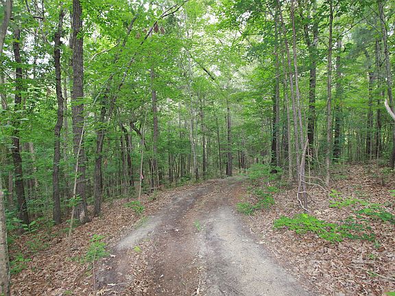 5th image of TRACT 53.1 State Highway 31 E