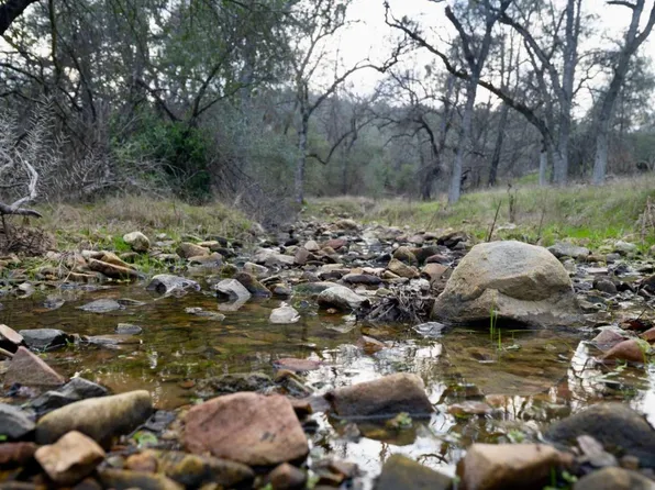 Guadalupe Creek Rd, Mariposa, CA 95338