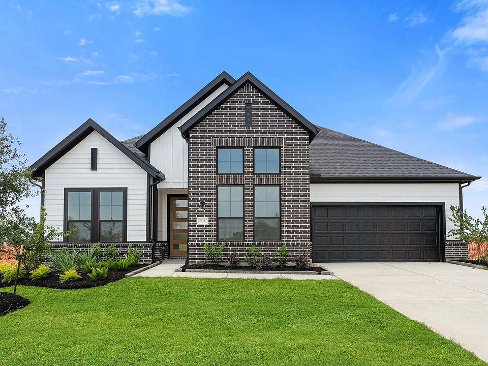 732 Golden Aster