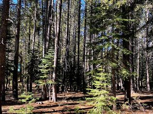 14895 Swiss Ln, Truckee, CA 96161