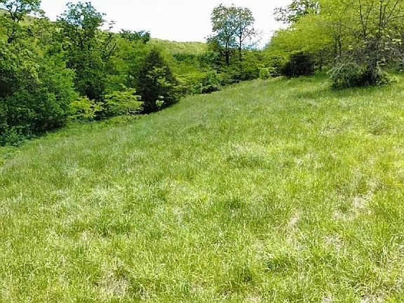 4th image of 642 County Road 605