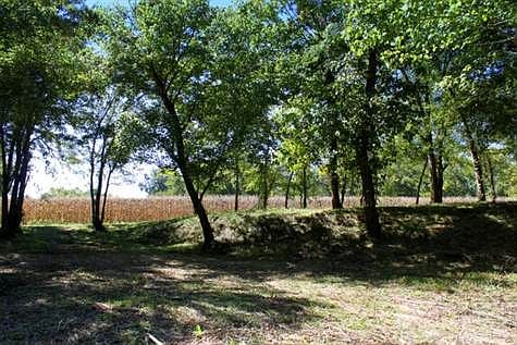 4th image of 438 Buffalo River Hwy
