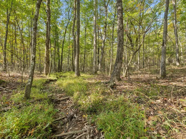 0 Timberwood Trce Lot 43, Monteagle, TN 37356