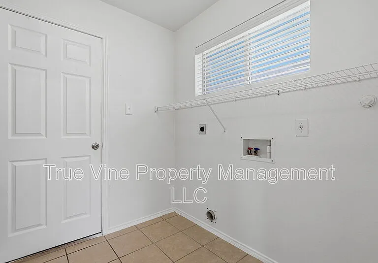 136 Texas Mulberry — Photo 10