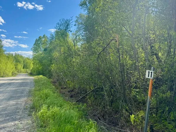 36248 S Oilwell Rd, Trapper Creek, AK 99683