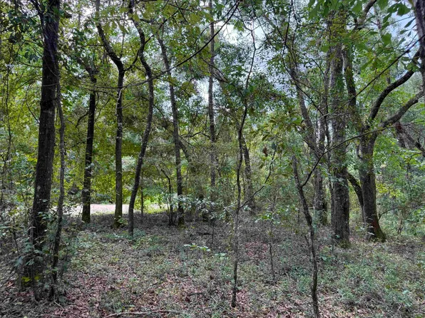 Vacant E Duckpond Dr, Greenville, FL 32331
