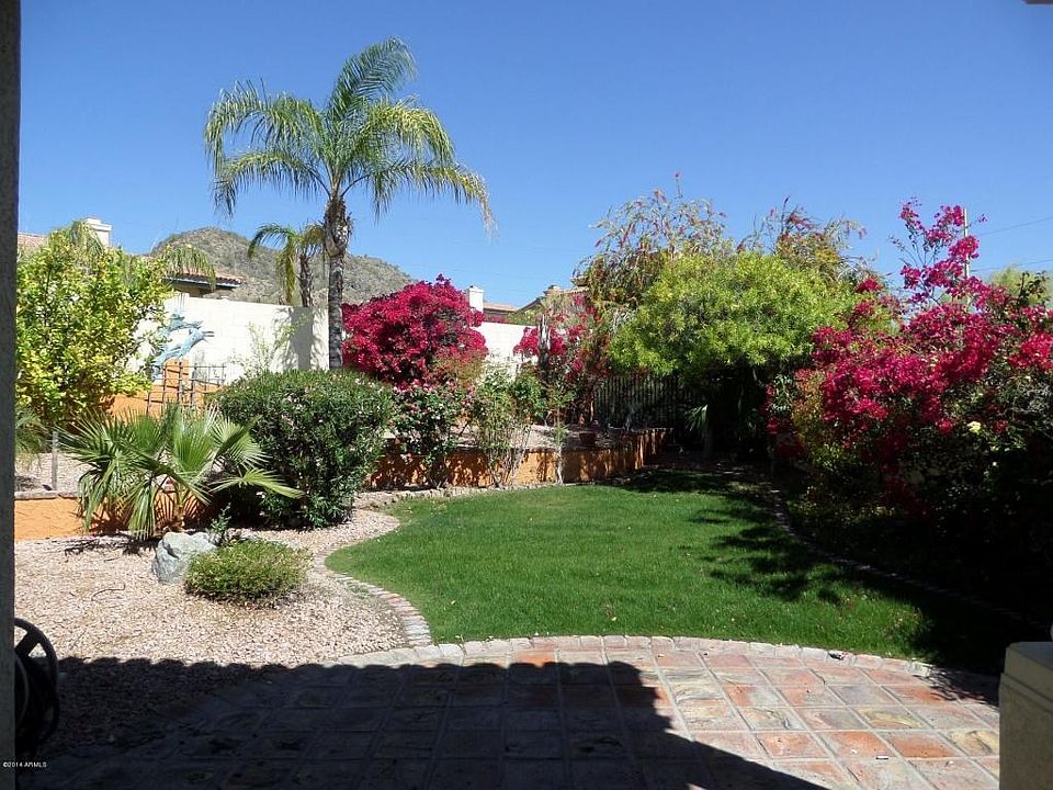 Lovely resort backyard