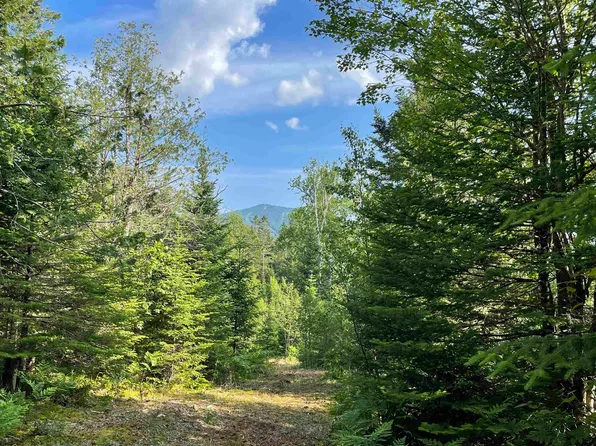 00 Marshall Newland Road, Burke, VT 05832