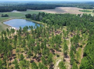 1400 Blackshear Ferry Rd W, Dublin, GA 31021