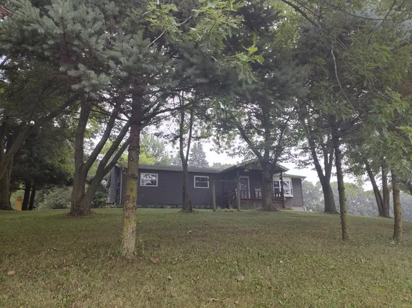 1130 Squawfield Rd, Hillsdale, MI 49242
