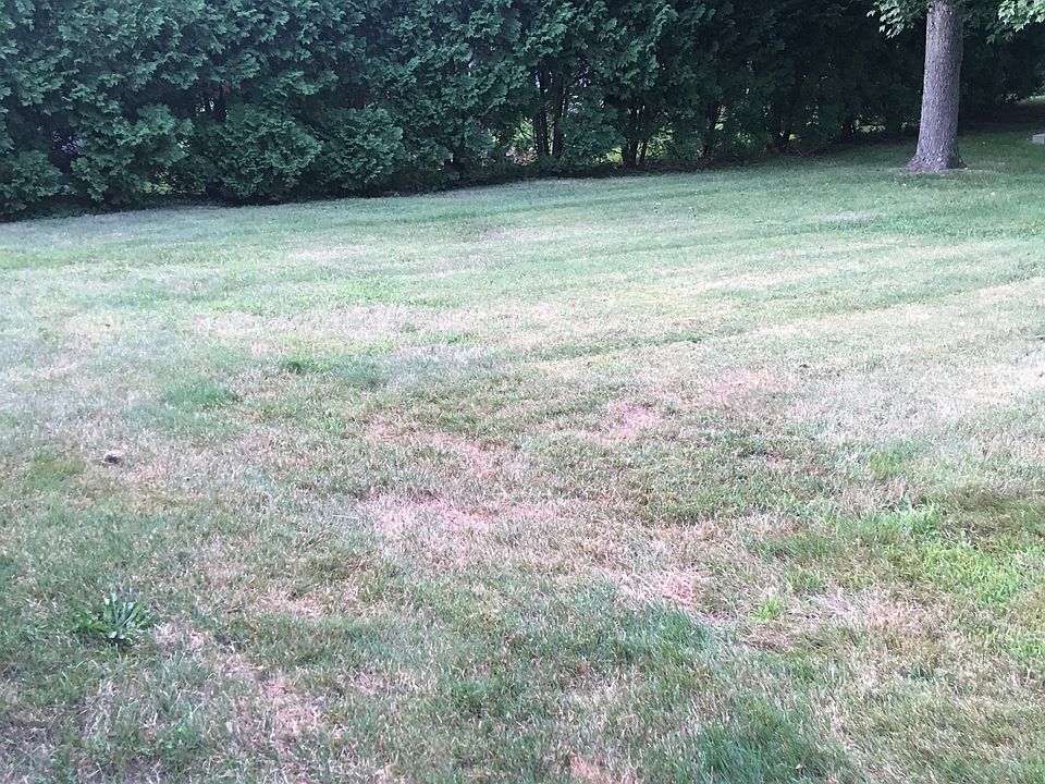 2nd image of 269 Notch Hill Rd
