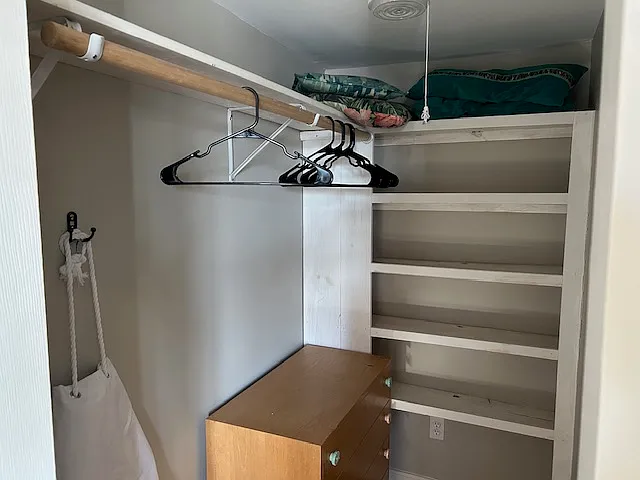 walk-in closet and shelves/chest of drawers