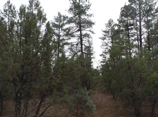 4021 W Red Twig Ln, Show Low, AZ 85901