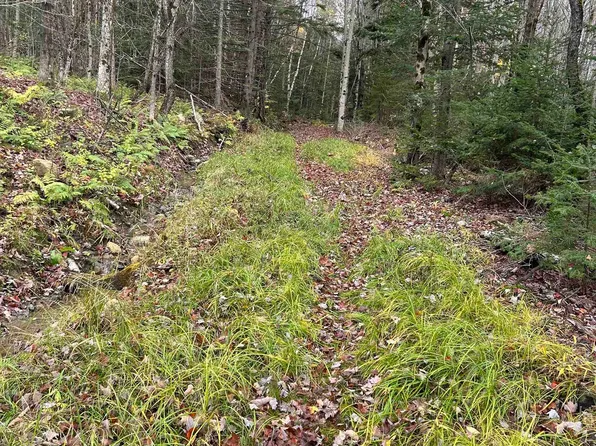 00 Gallop Pitch Road, Wilmington, VT 05363