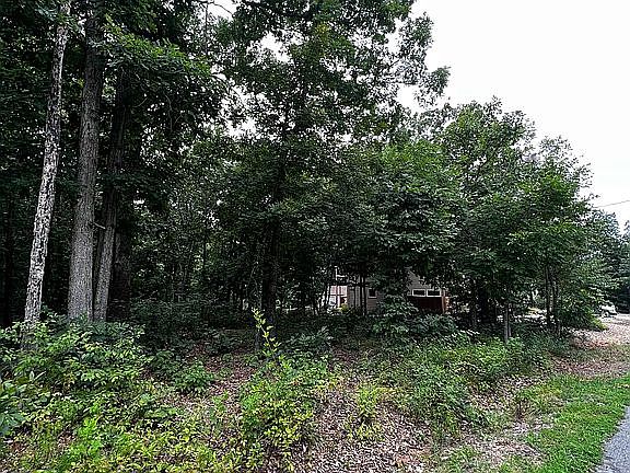 4th image of Mason Ln