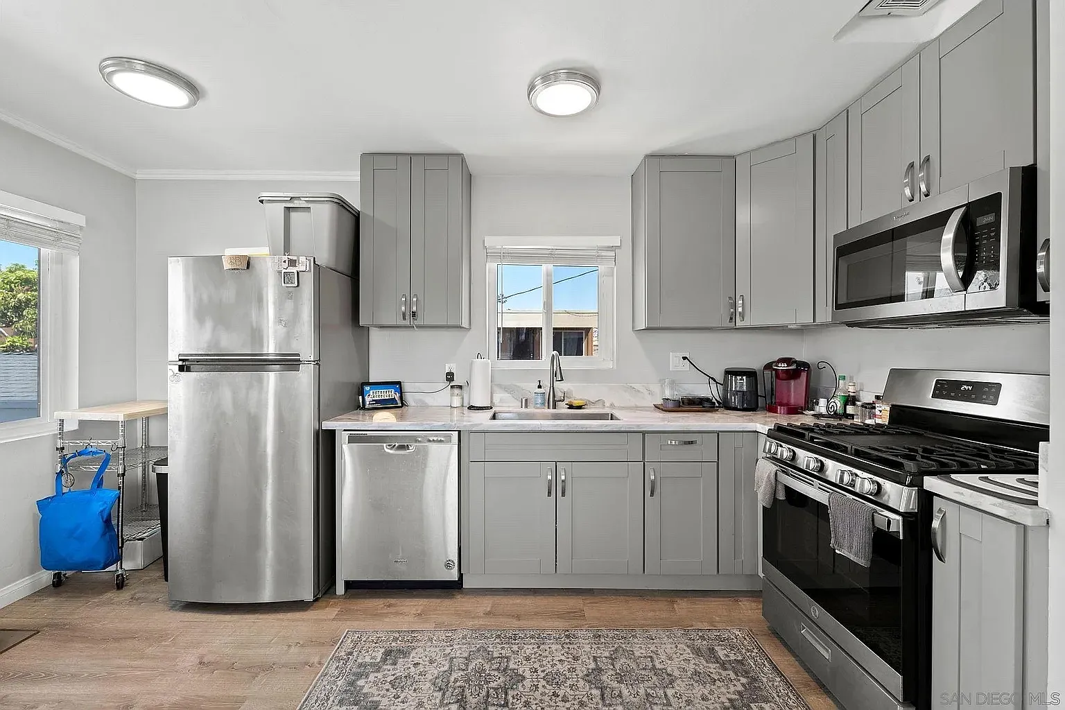 1 bed, 550 sqft, $3,100 — Photo 4