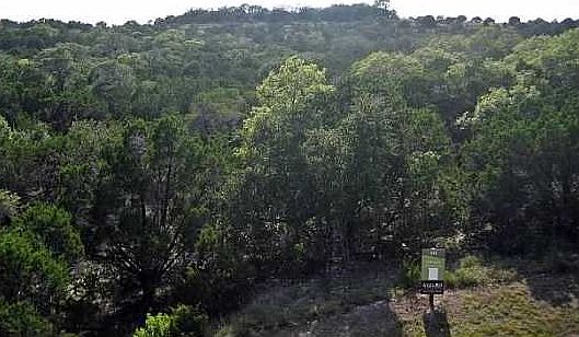 2nd image of 8425 Parsimina Ln