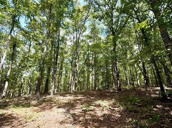 0 County Road 701, Roanoke, AL 36274