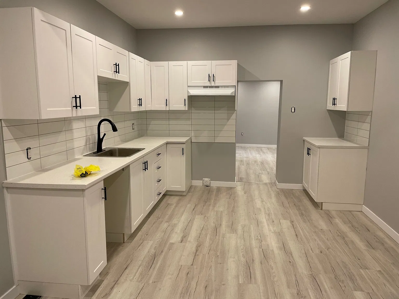 239 Percy Street — Photo 3