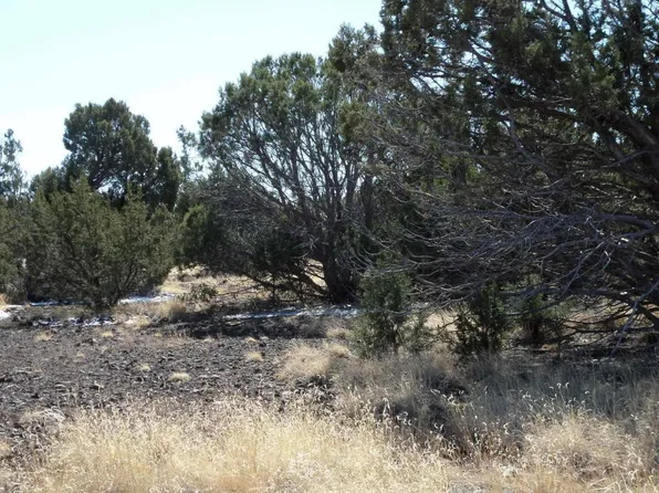 8577 Bobcat Dr, Show Low, AZ 85901