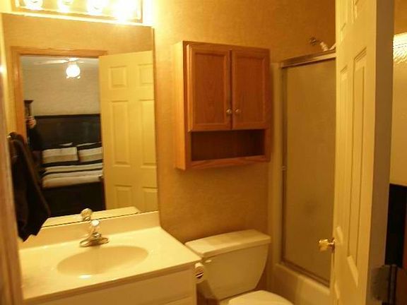 Main bathroom 