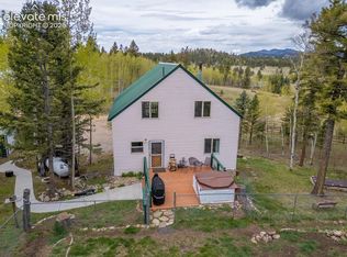 124 Bear Trl, Lake George, CO 80827
