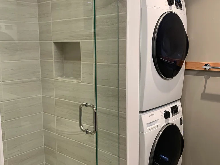 Washer/dryer next to shower.