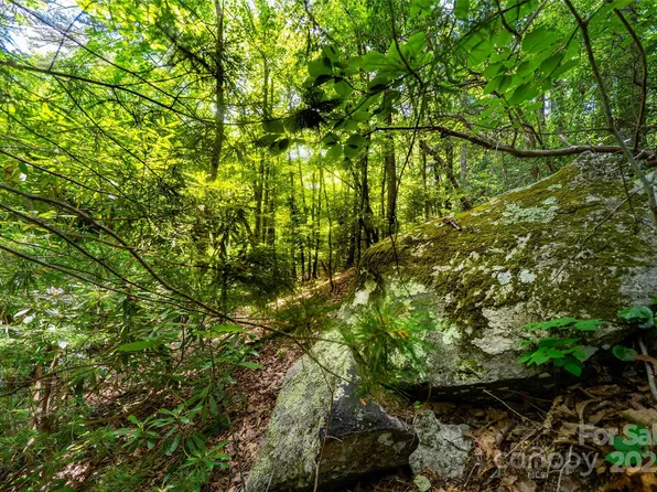 0 Foster Hill Dr #3, Hendersonville, NC 28739