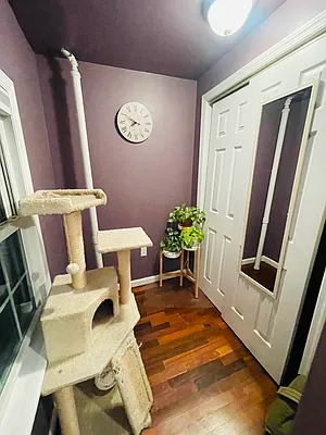 Rented by Voro New York | media 13