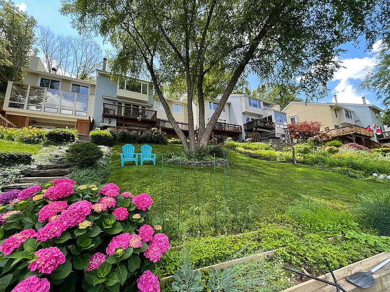 Backyard, with small plot for home garden.