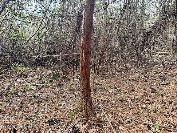 4th image of Bouie Mill Rd NW