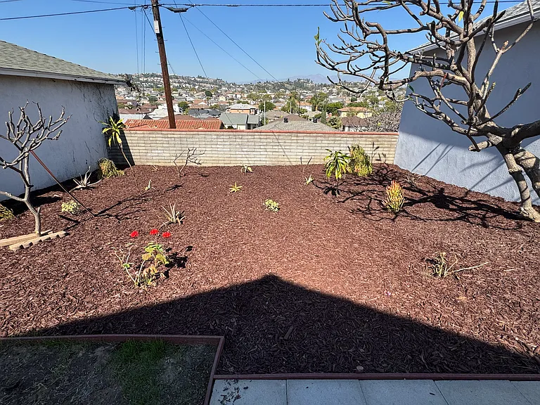 Low Maintenance Yard