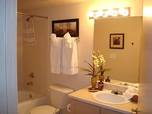Floor plan Furnished One Bedroom Loft